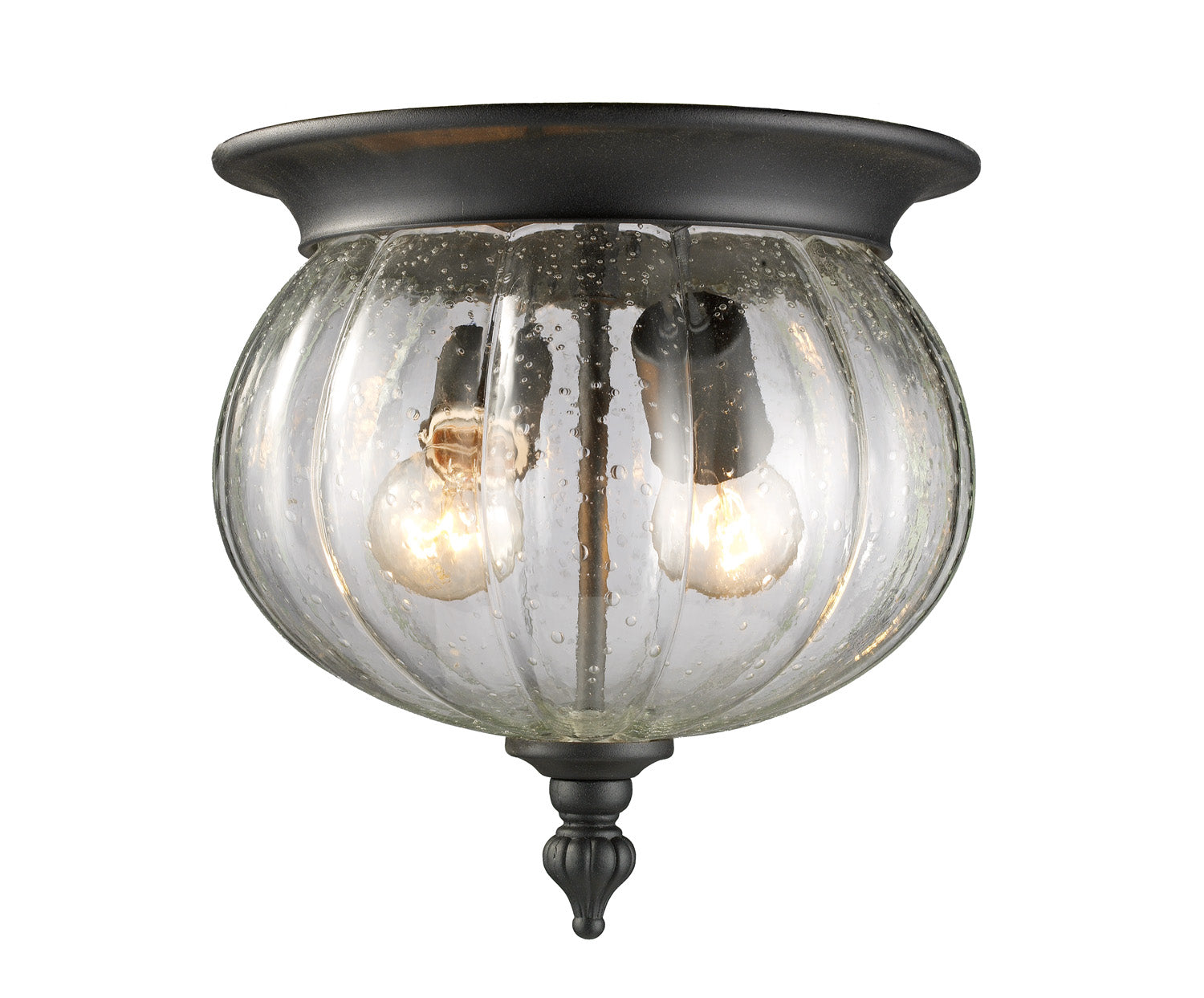 Z-Lite - 516F-BK - Two Light Outdoor Flush Mount - Belmont - Black from Lighting & Bulbs Unlimited in Charlotte, NC