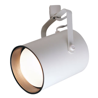 Nora Lighting - NTH-113W - Flatback Cyl Par38 Wh,Bk Baf - Track Inc Line Voltage - White from Lighting & Bulbs Unlimited.