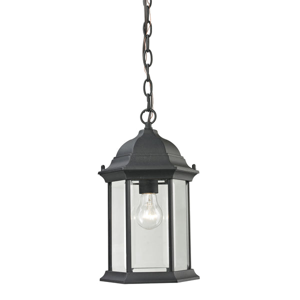 ELK Home - 8601EH/65 - One Light Outdoor Pendant - Spring Lake - Matte Textured Black from Lighting & Bulbs Unlimited in Charlotte, NC