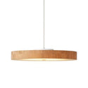 LED Pendant from the Disq Collection by Hubbardton Forge