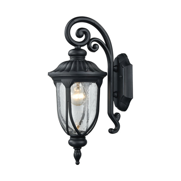 ELK Home - 87100/1 - One Light Outdoor Wall Sconce - Derry Hill - Matte Black from Lighting & Bulbs Unlimited in Charlotte, NC