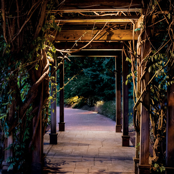 LED Landscape Accent from the Landscape Led Collection in Textured Architectural Bronze Finish by Kichler