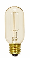 Satco - S2417 - Light Bulb - Clear from Lighting & Bulbs Unlimited.