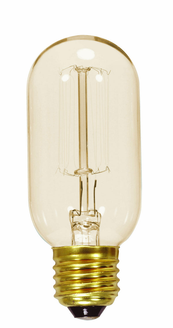 Satco - S2417 - Light Bulb - Clear from Lighting & Bulbs Unlimited in Charlotte, NC