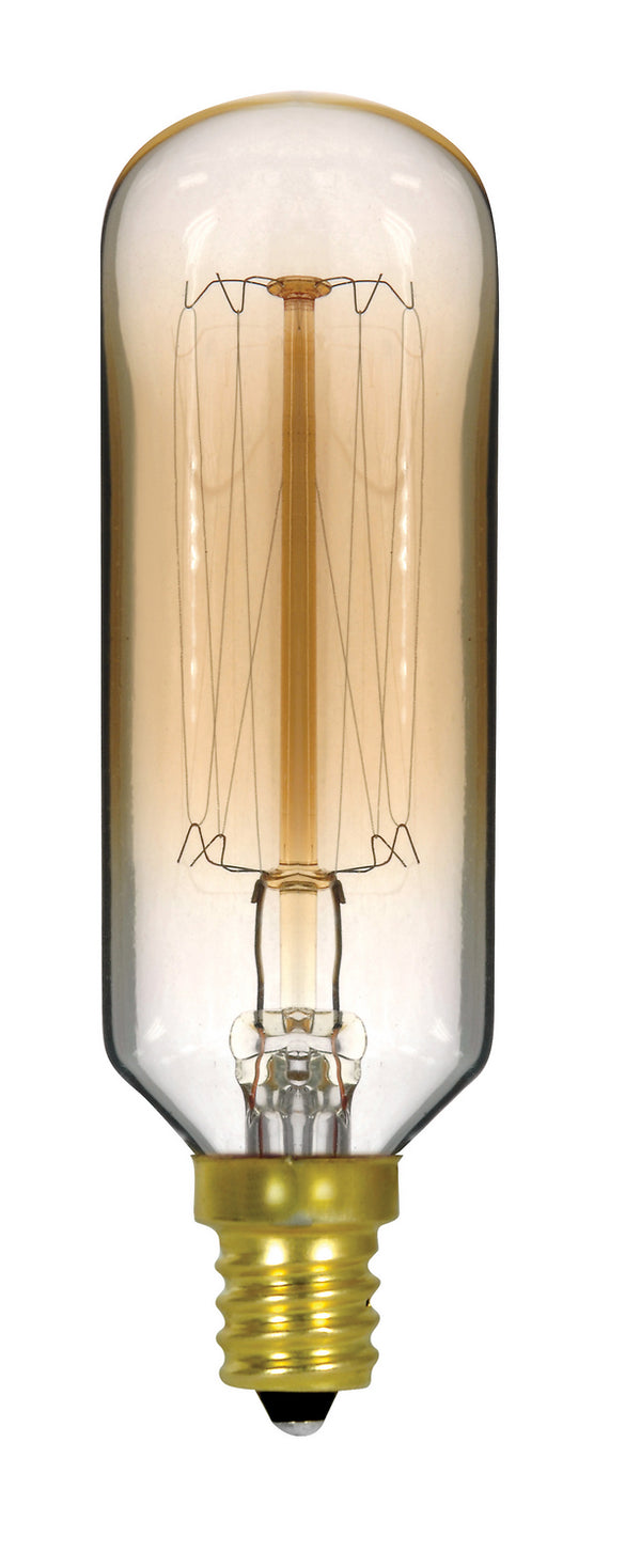Satco - S2420 - Light Bulb - Clear Gold from Lighting & Bulbs Unlimited.
