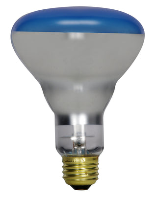 Satco - S2852 - Light Bulb - Blue from Lighting & Bulbs Unlimited in Charlotte, NC