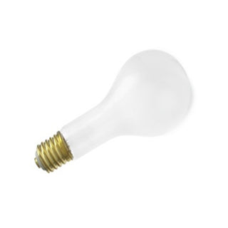 Satco - S3016 - Light Bulb - Clear from Lighting & Bulbs Unlimited in Charlotte, NC
