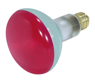 Satco - S3240 - Light Bulb - Red from Lighting & Bulbs Unlimited.