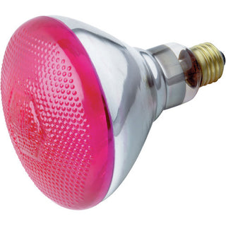Satco - S4429 - Light Bulb - Pink from Lighting & Bulbs Unlimited.