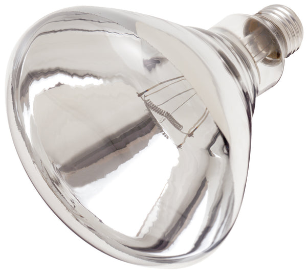 Satco - S4885 - Light Bulb - Clear Heat from Lighting & Bulbs Unlimited.