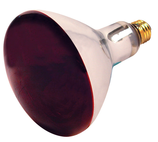 250 Watt R40 Incandescent, Red Heat, 6000 Average rated hours, Medium base, 120 Volt Light Bulb by Satco