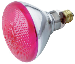 100 Watt BR38 Incandescent, Pink, 2000 Average rated hours, Medium base, 230 Volt Light Bulb by Satco