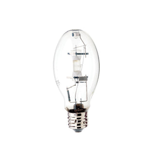 Satco - S5834 - Light Bulb - Clear from Lighting & Bulbs Unlimited.