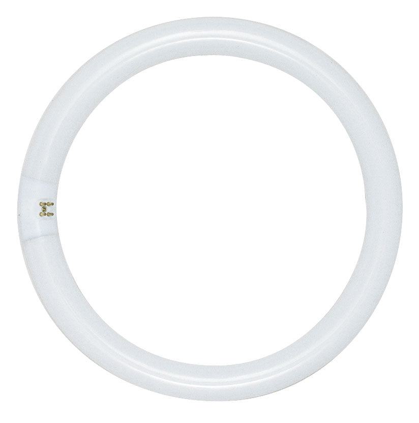 22 Watt, T9, Circline Fluorescent, 6500K Daylight, 76 CRI, 4-Pin base Light Bulb by Satco