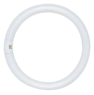 32 Watt, T9, Circline Fluorescent, 4100K Cool White, 62 CRI, 4-Pin base Light Bulb by Satco
