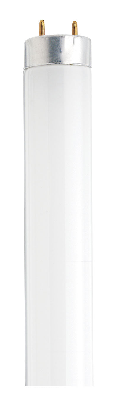 15 Watt, T8, Fluorescent, 4100K Cool White, 62 CRI, Medium Bi Pin base Light Bulb by Satco