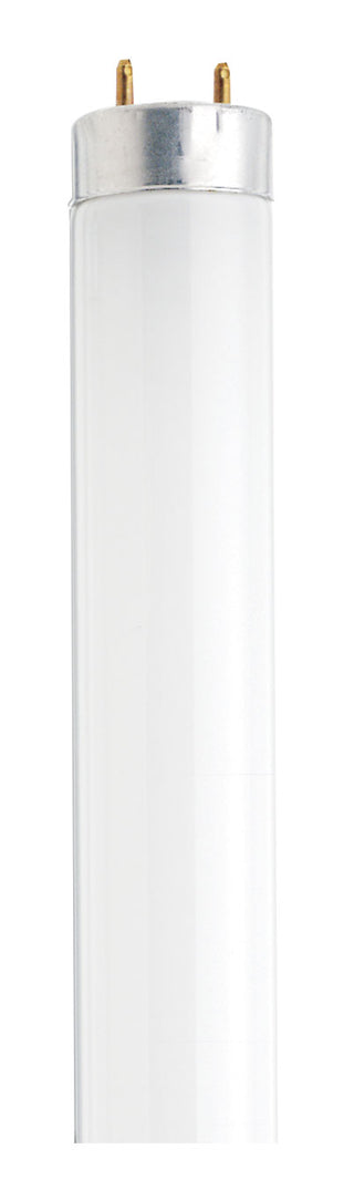 30 Watt, T8, Fluorescent, 3000K Warm White, 52 CRI, Medium Bi Pin base Light Bulb by Satco
