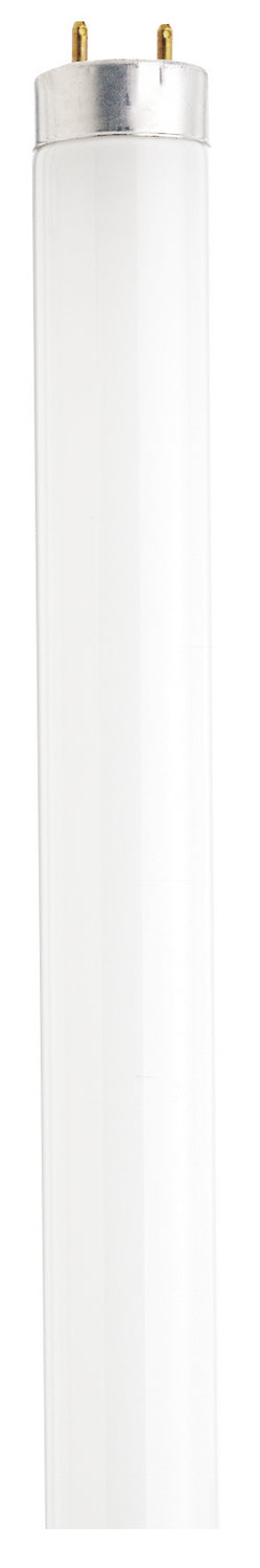 32 Watt, T8, Fluorescent, 4100K Cool White, 85 CRI, Medium Bi Pin base Light Bulb by Satco (Case of 30)