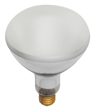 Satco - S7006 - Light Bulb - Frost from Lighting & Bulbs Unlimited in Charlotte, NC