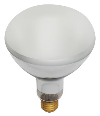 Satco - S7007 - Light Bulb - Frost from Lighting & Bulbs Unlimited in Charlotte, NC
