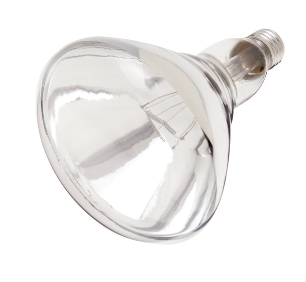 Satco - S7012 - Light Bulb - Clear Heat from Lighting & Bulbs Unlimited.