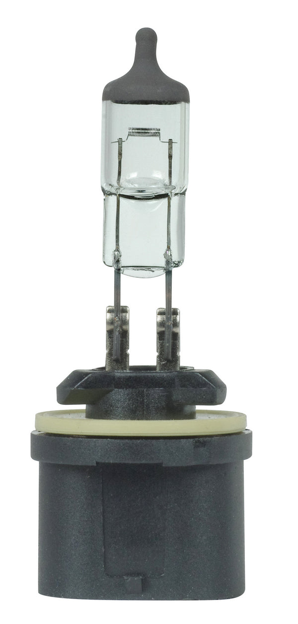 Satco - S7156 - Light Bulb - Black Crown from Lighting & Bulbs Unlimited.