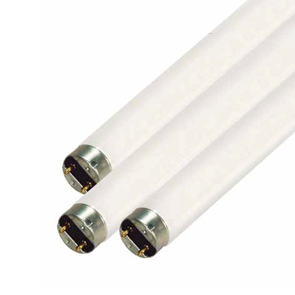 Satco - S7925 - Light Bulb - White from Lighting & Bulbs Unlimited in Charlotte, NC