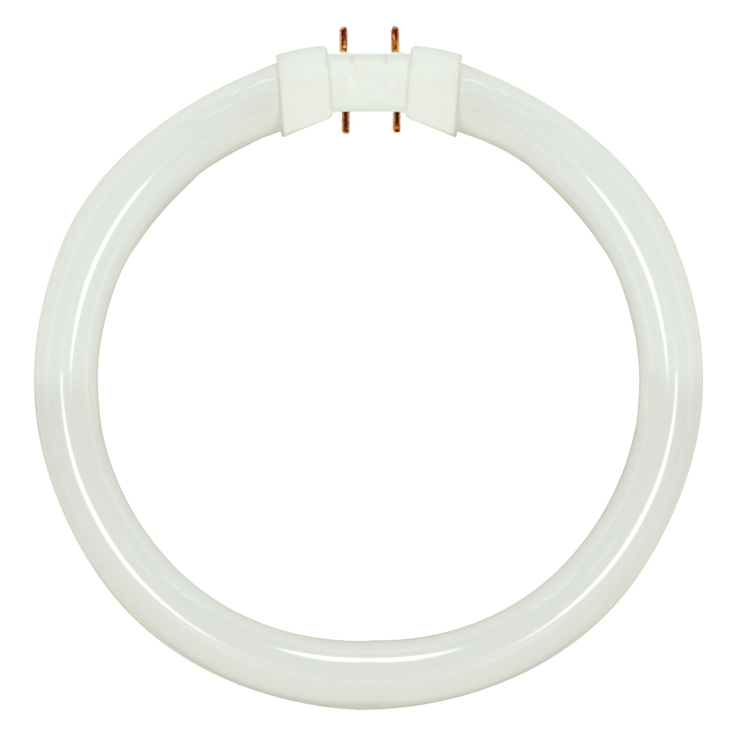 Satco - S8155 - Light Bulb - White from Lighting & Bulbs Unlimited in Charlotte, NC