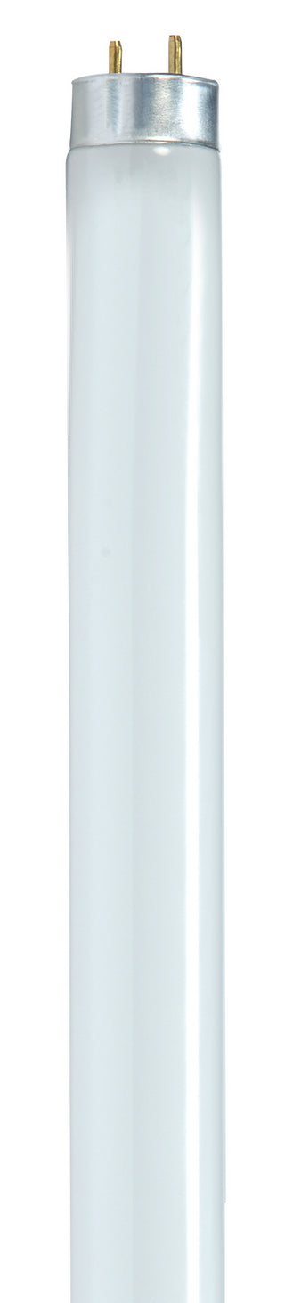 Satco - S8406 - Light Bulb - Gloss White from Lighting & Bulbs Unlimited in Charlotte, NC