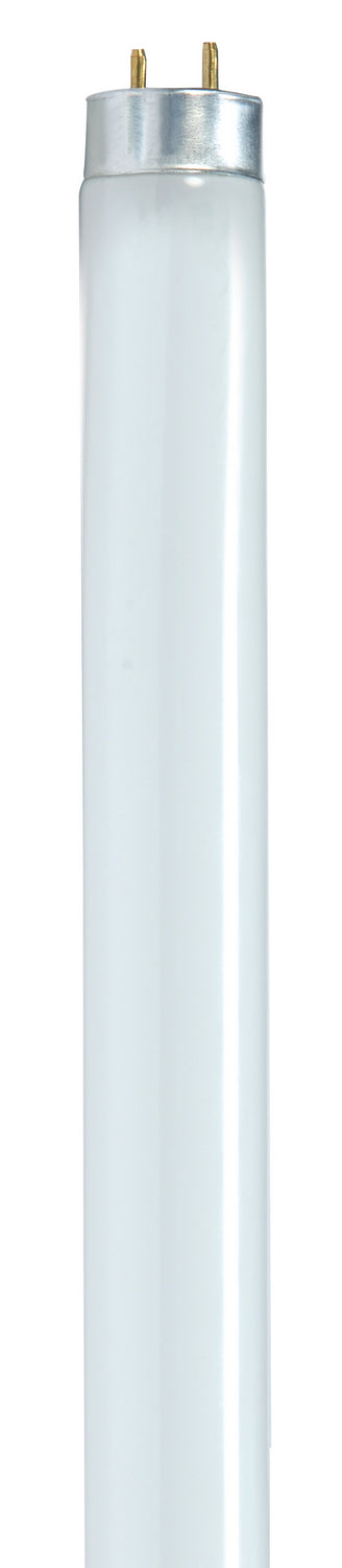 Satco - S8429 - Light Bulb - Gloss White from Lighting & Bulbs Unlimited in Charlotte, NC