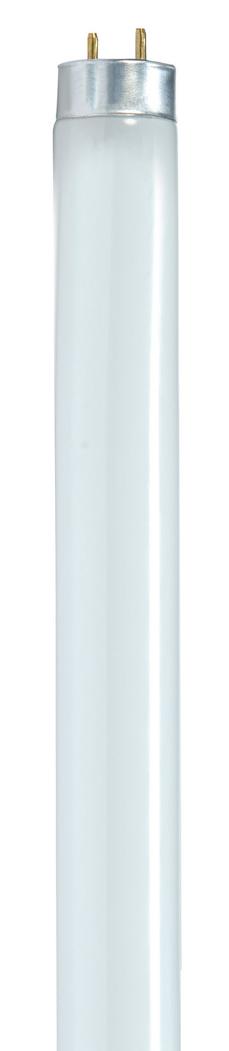 Satco - S8432 - Light Bulb - Gloss White from Lighting & Bulbs Unlimited in Charlotte, NC