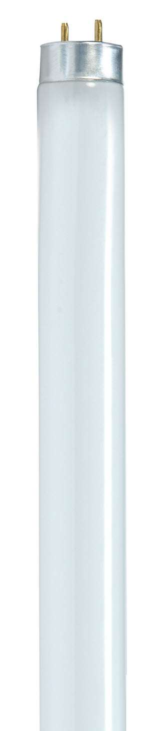 Satco - S8432 - Light Bulb - Gloss White from Lighting & Bulbs Unlimited in Charlotte, NC
