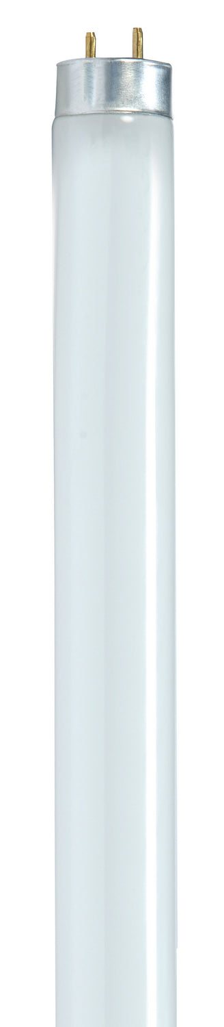 Satco - S8435 - Light Bulb - White from Lighting & Bulbs Unlimited in Charlotte, NC