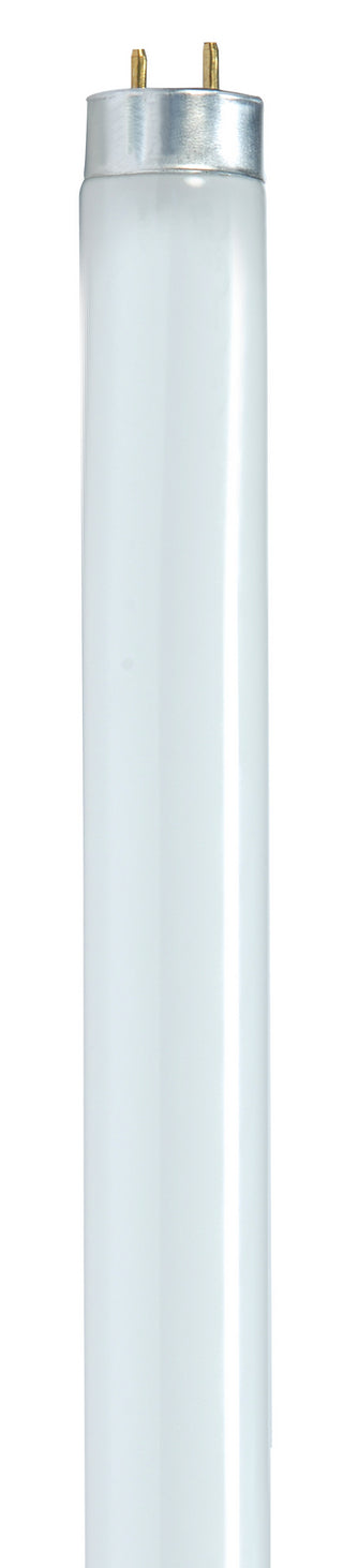 Satco - S8436 - Light Bulb - Gloss White from Lighting & Bulbs Unlimited in Charlotte, NC