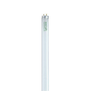 Satco - S8444 - Light Bulb - White from Lighting & Bulbs Unlimited.