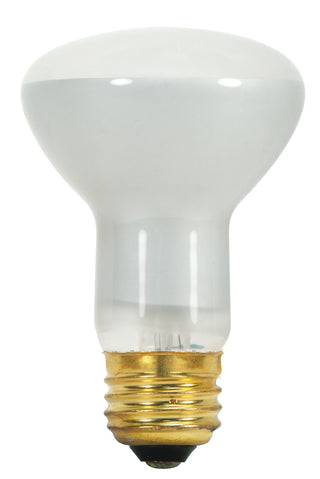 Satco - S8519 - Light Bulb - Frost from Lighting & Bulbs Unlimited in Charlotte, NC