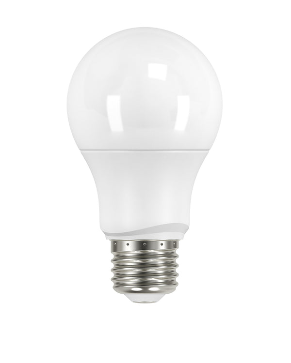 Satco - S9591 - Light Bulb - Frost from Lighting & Bulbs Unlimited in Charlotte, NC