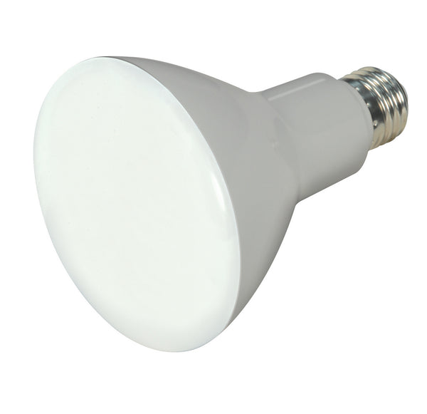 Satco - S9621 - Light Bulb - Frost from Lighting & Bulbs Unlimited in Charlotte, NC
