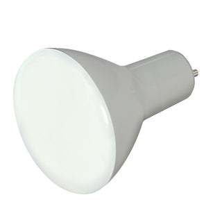 Satco - S9624 - Light Bulb - Frost from Lighting & Bulbs Unlimited in Charlotte, NC