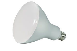 Satco - S9634 - Light Bulb - Frost from Lighting & Bulbs Unlimited in Charlotte, NC