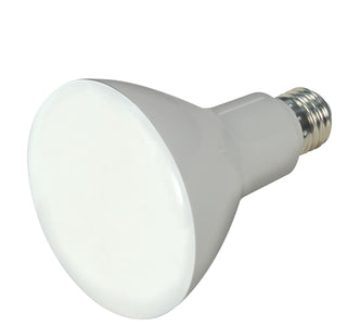 Satco - S9698 - Light Bulb - Frost from Lighting & Bulbs Unlimited in Charlotte, NC