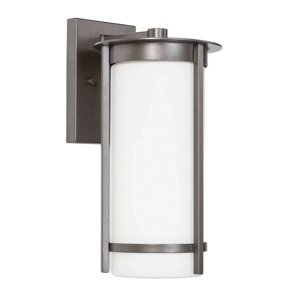 Eglo USA - 203112A - One Light Outdoor Wall Mount - Truxton - Graphite from Lighting & Bulbs Unlimited in Charlotte, NC