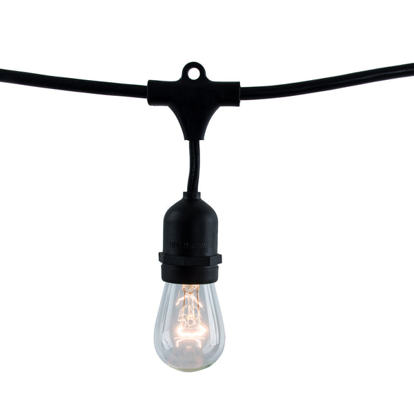 Bulbrite - 810006 - String Light - String - Black from Lighting & Bulbs Unlimited in Charlotte, NC