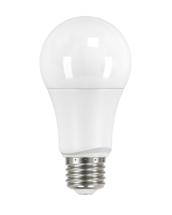Satco - S29558 - Light Bulb - Frost from Lighting & Bulbs Unlimited in Charlotte, NC