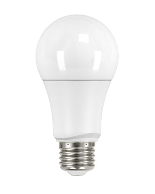 Satco - S29629 - Light Bulb - Frost from Lighting & Bulbs Unlimited in Charlotte, NC