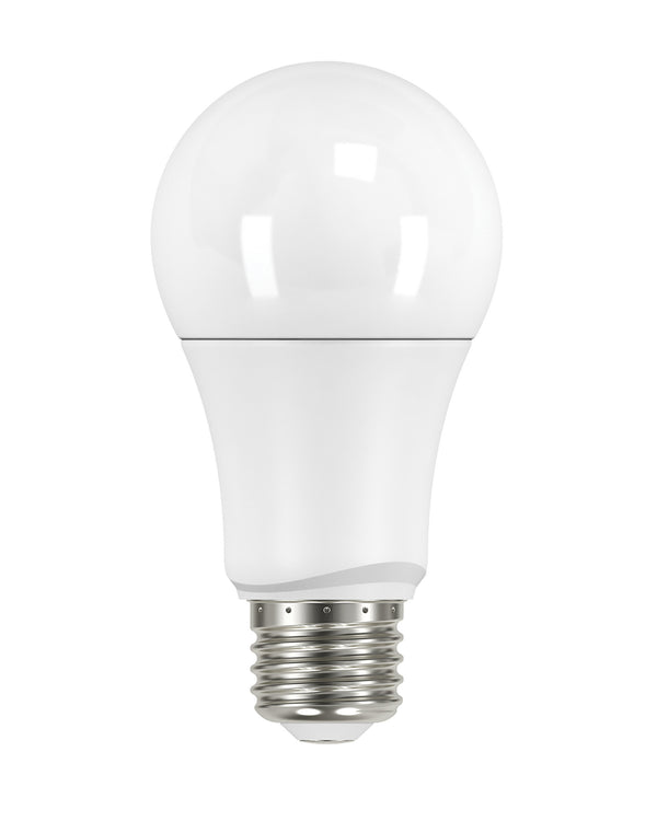 Satco - S29629 - Light Bulb - Frost from Lighting & Bulbs Unlimited in Charlotte, NC