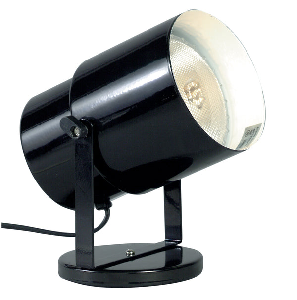Nuvo Lighting - SF77-394 - One Light Plant Lamp - Black/steel from Lighting & Bulbs Unlimited in Charlotte, NC