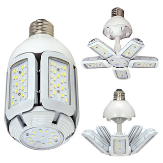 Satco - S29798 - Light Bulb - Clear from Lighting & Bulbs Unlimited in Charlotte, NC