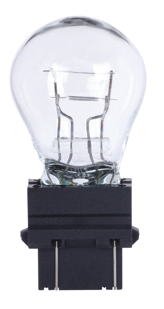 Satco - S7118 - Light Bulb - Clear from Lighting & Bulbs Unlimited in Charlotte, NC
