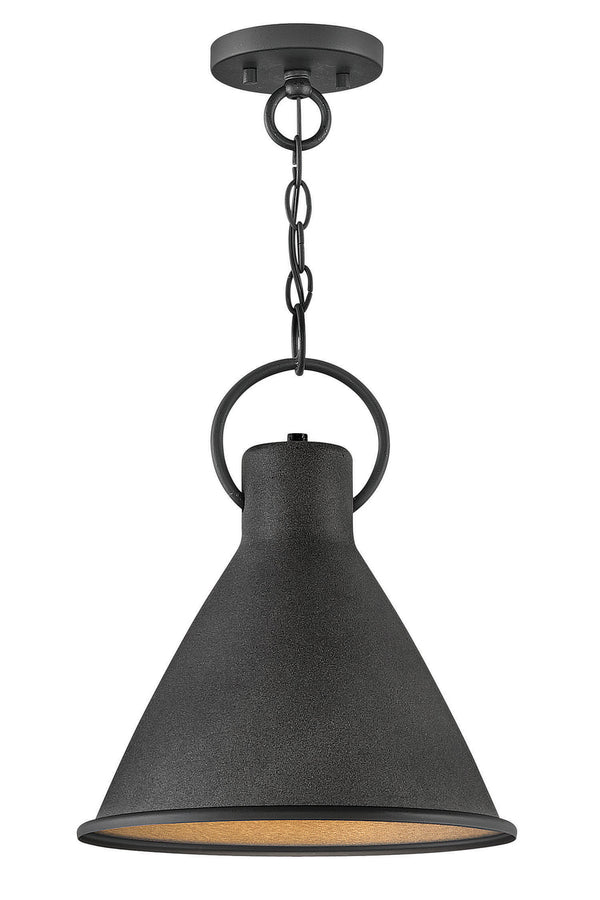 Hinkley - 3557DZ - LED Pendant - Winnie - Aged Zinc from Lighting & Bulbs Unlimited in Charlotte, NC